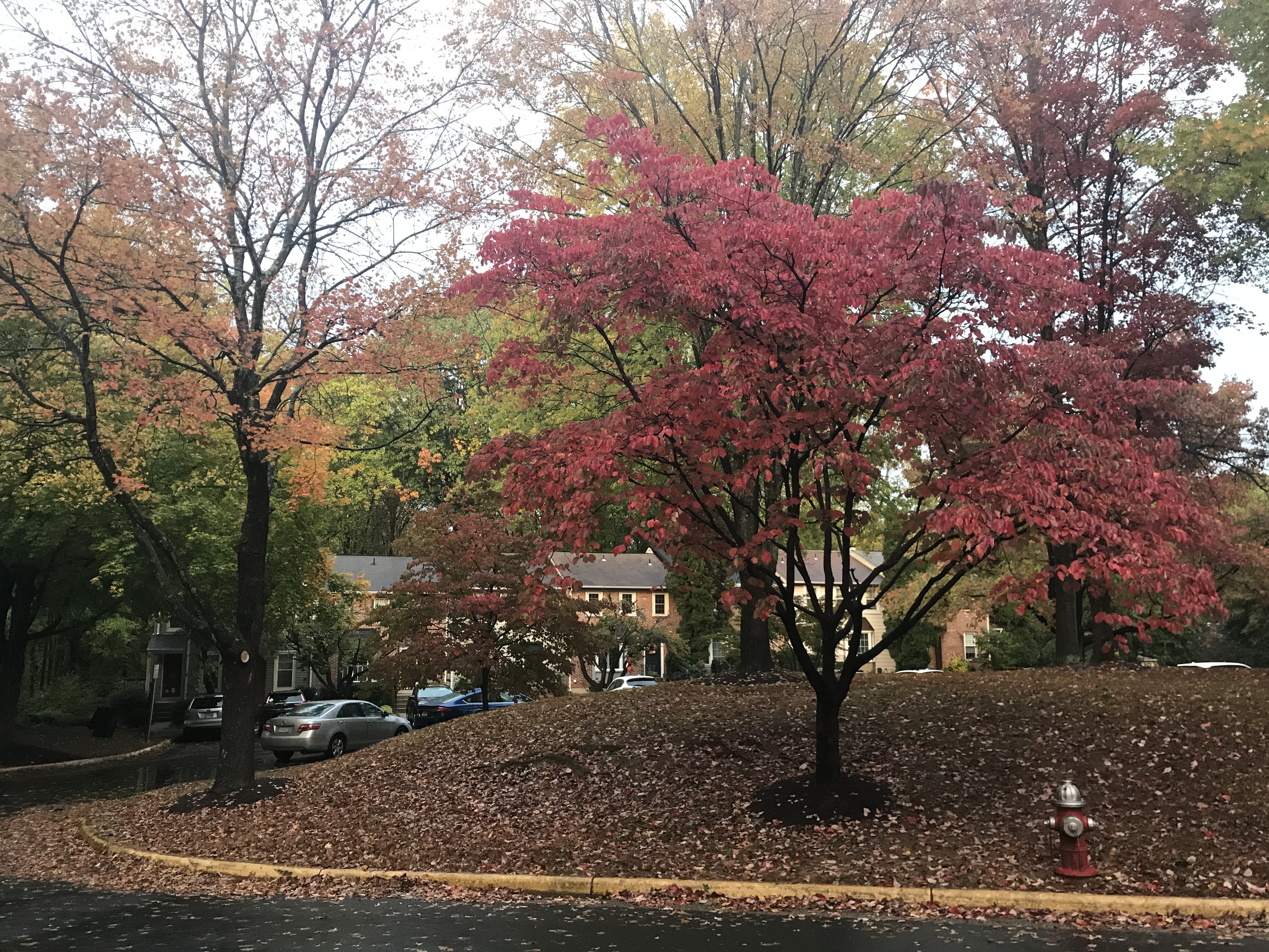 Welcome to the Neighborhood!