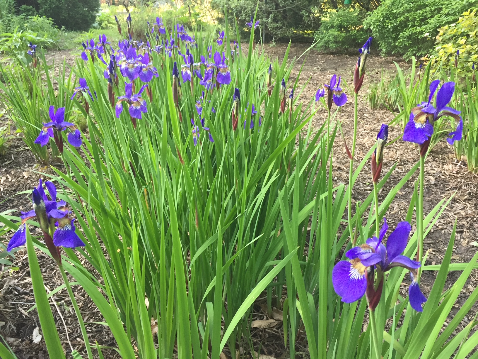 Exploring our love for nature and cool things