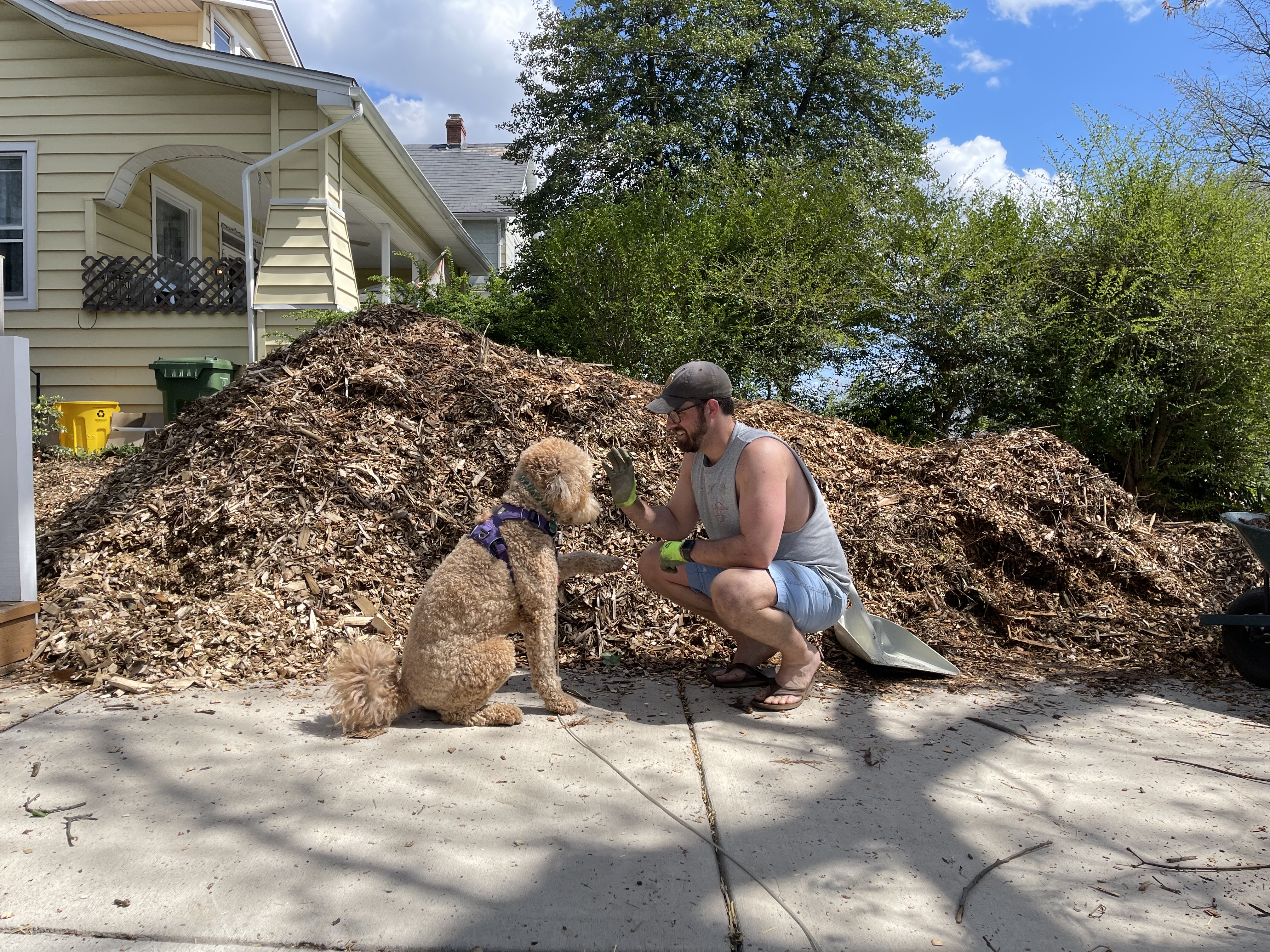 Springtime Projects
