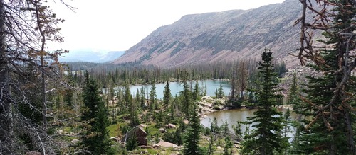 Christopher and Alison family banner