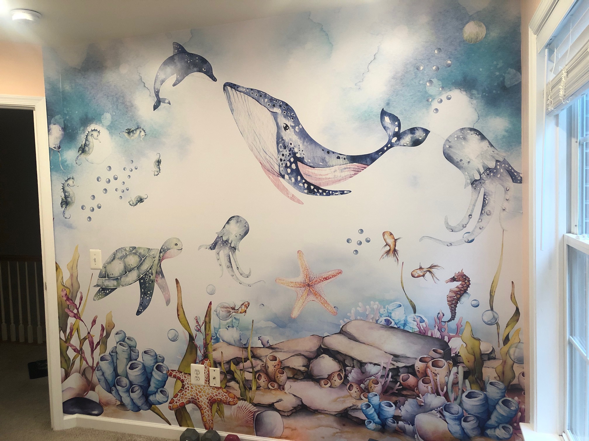 Come Sea our Ocean Nursery!