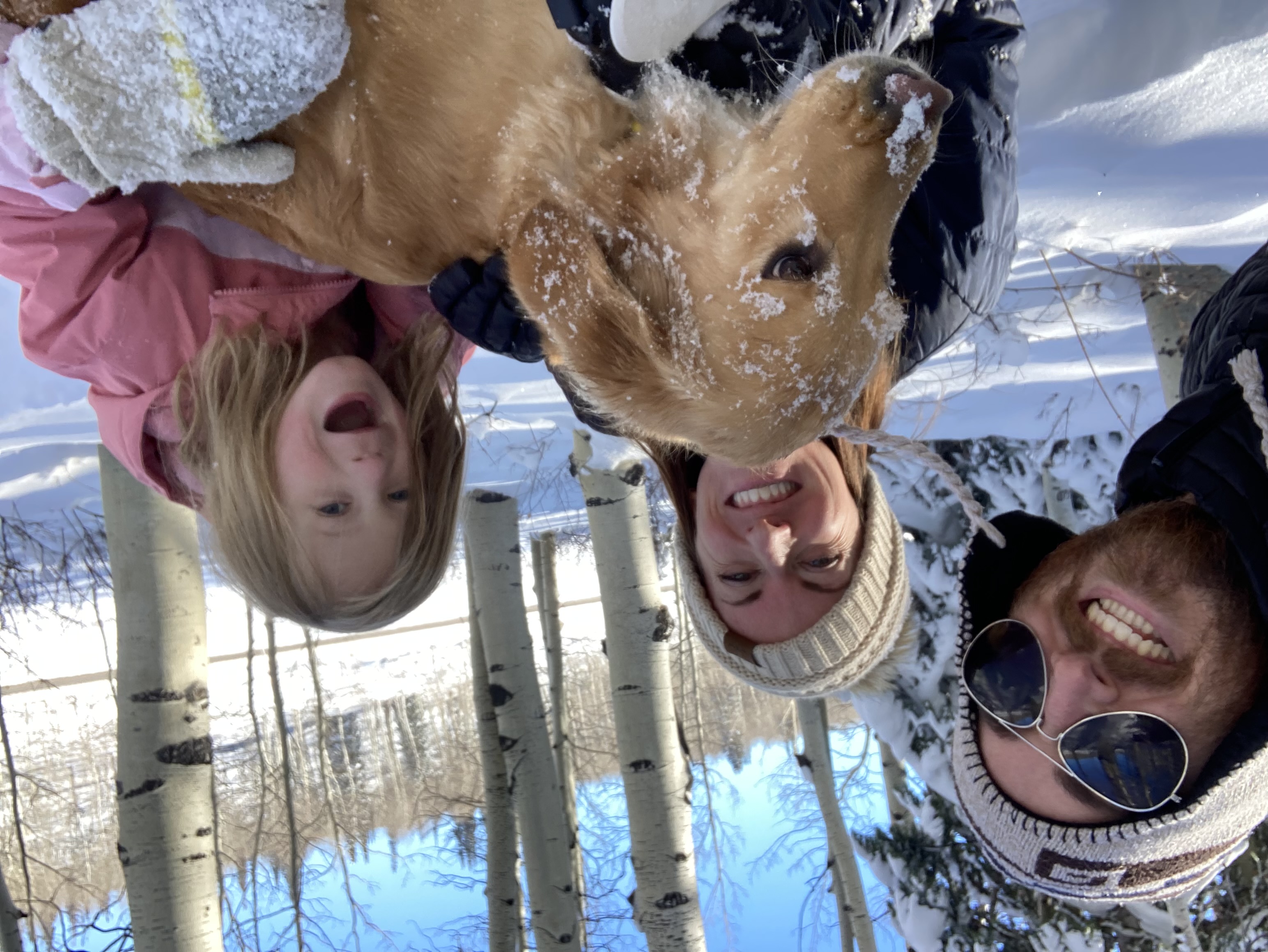 Christmas Traditions