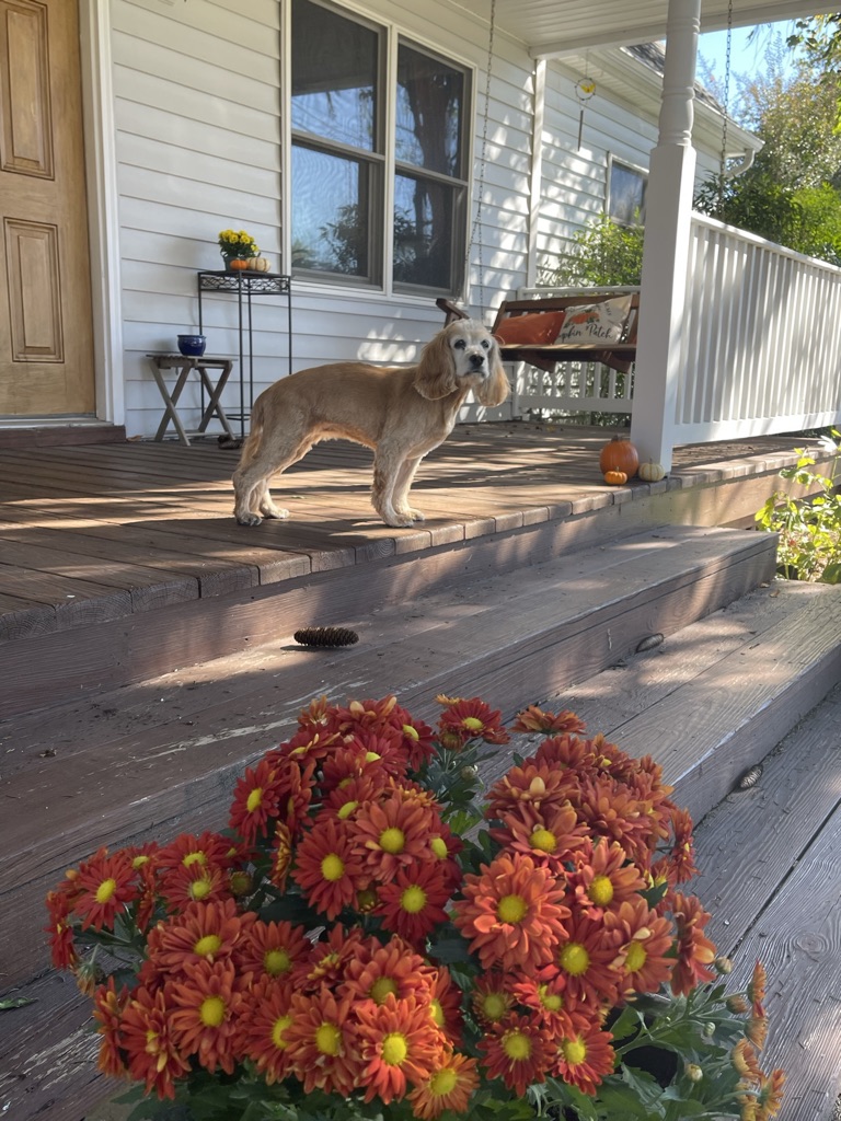 Fall Adventures