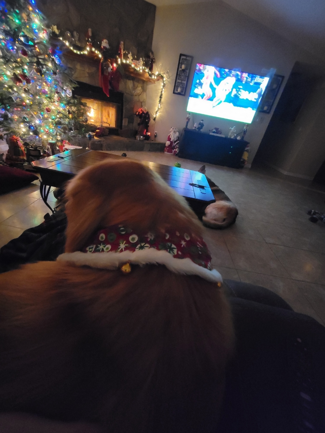 Last night with the fire and Christmas tree