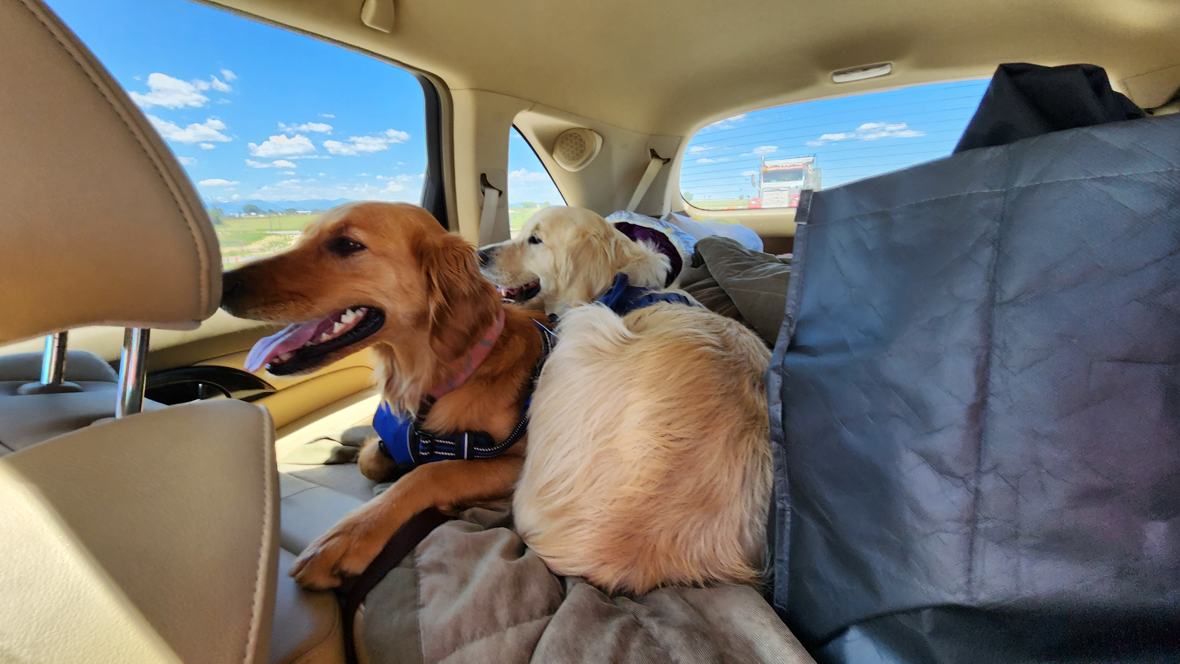 July 2023 Adventures