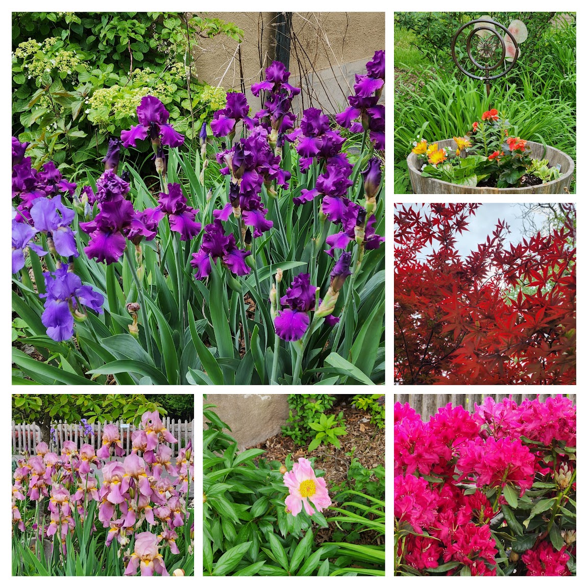 Zoo trip with my dad